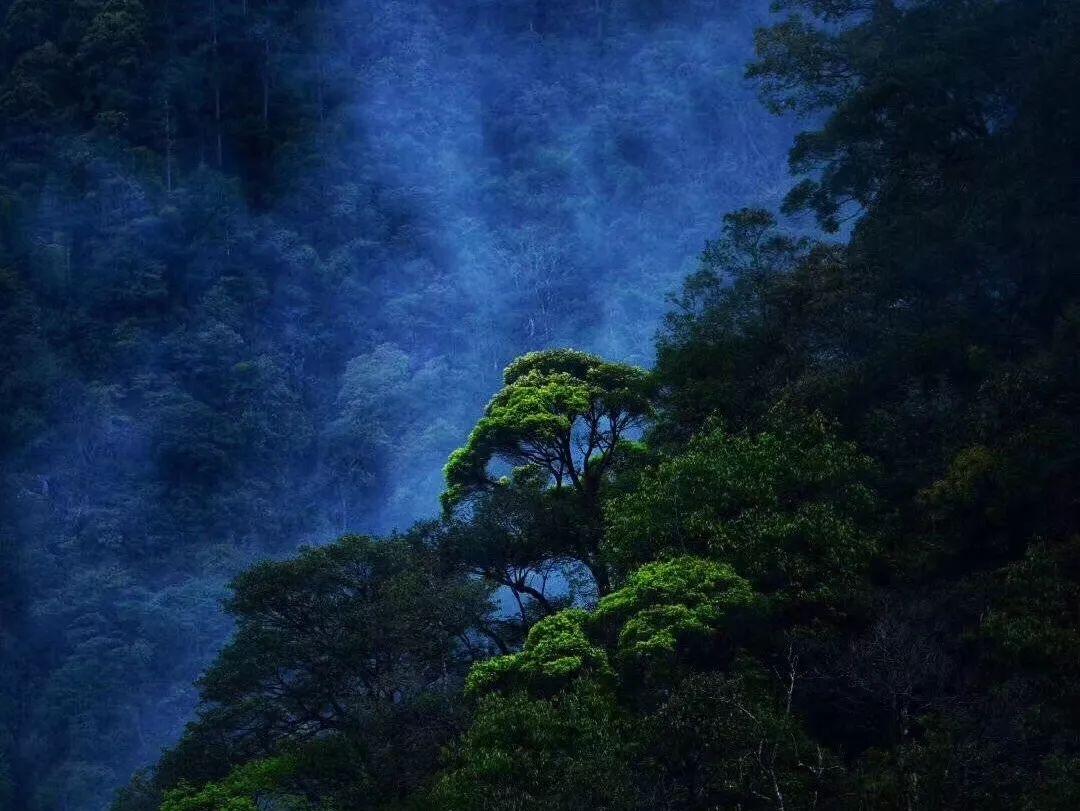 算24点游戏